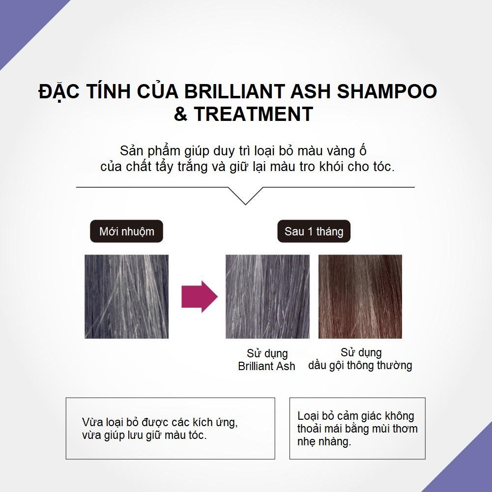 Bộ Dầu gội Brilliant Ash và DẦU xả chăm sóc tóc BRILLIANT