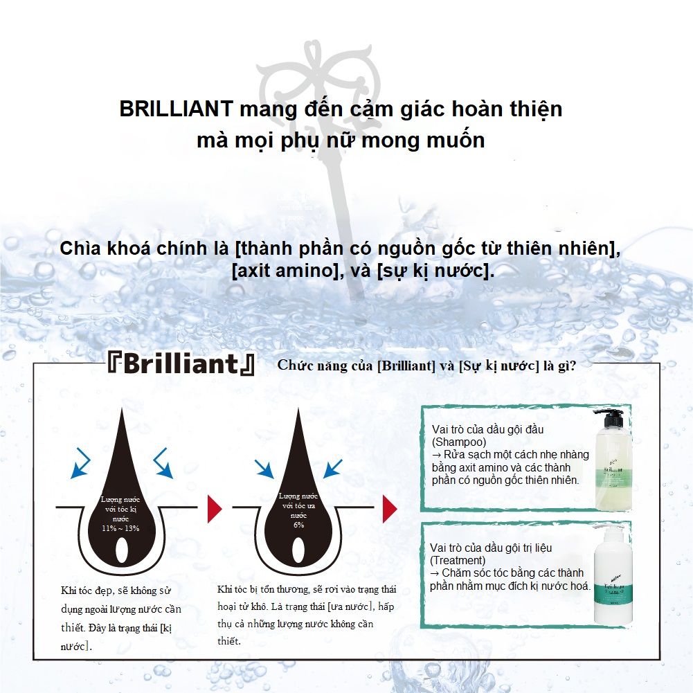 Bộ DẦU GỘI BRILLIANT và DẦU XẢ BRILLIANT