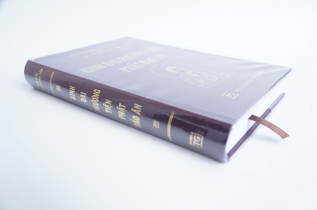 Sách phật giáo Kinh đại phương tiện Phật báo ân Thích Chính Tiến chữ to rõ 518 trang
