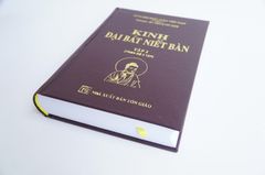 Sách phật giáo Kinh đại bát niết bàn Thích Trí Tịnh bìa da nâu chữ to rõ 2 tập dày 1500 trang