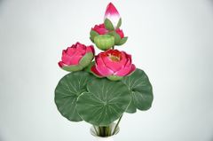 Hoa giả trang trí, bó hoa Sen đài xanh, hoa sen đặt bàn thờ Phật - Loại đẹp