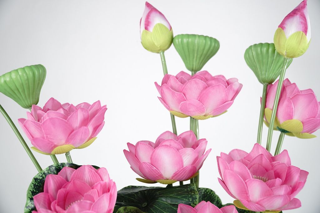 Hoa giả đẹp, cành hoa Sen lụa đẹp tự nhiên loại xịn - Dài 80cm
