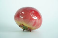 Trái cây giả, hoa quả giả trang trí, quả Cà chua giả đẹp như thật - Loại xịn