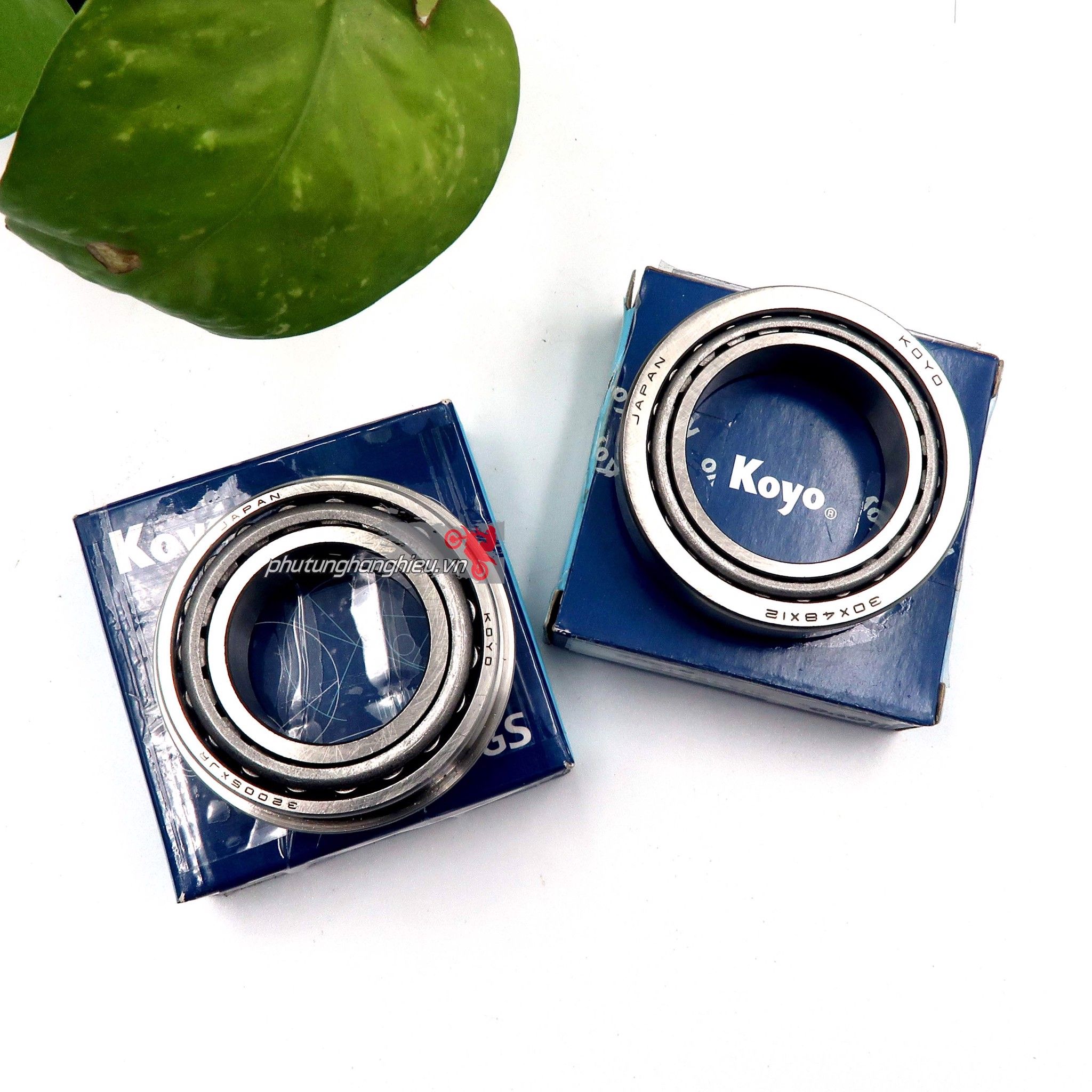 Bộ 2 vòng bi chén cổ Koyo - Made in Japan - khắc phục cổ kêu lụp cụp cho xe Exciter các đời