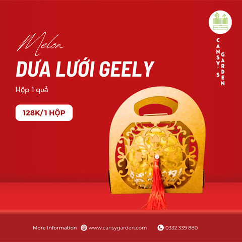 Dưa Lưới Geely Hộp 1 Trái