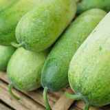 Bí Đao - Winter Melon / Wax Gourd