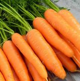 Cà Rốt Nhật - Japan Carrot