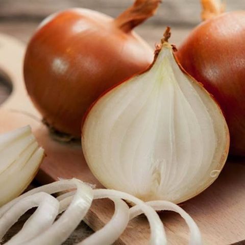 Hành Tây - Onion
