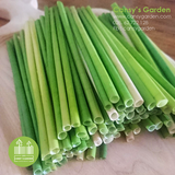 Ống Hút Cỏ Bàng - Grass Straw