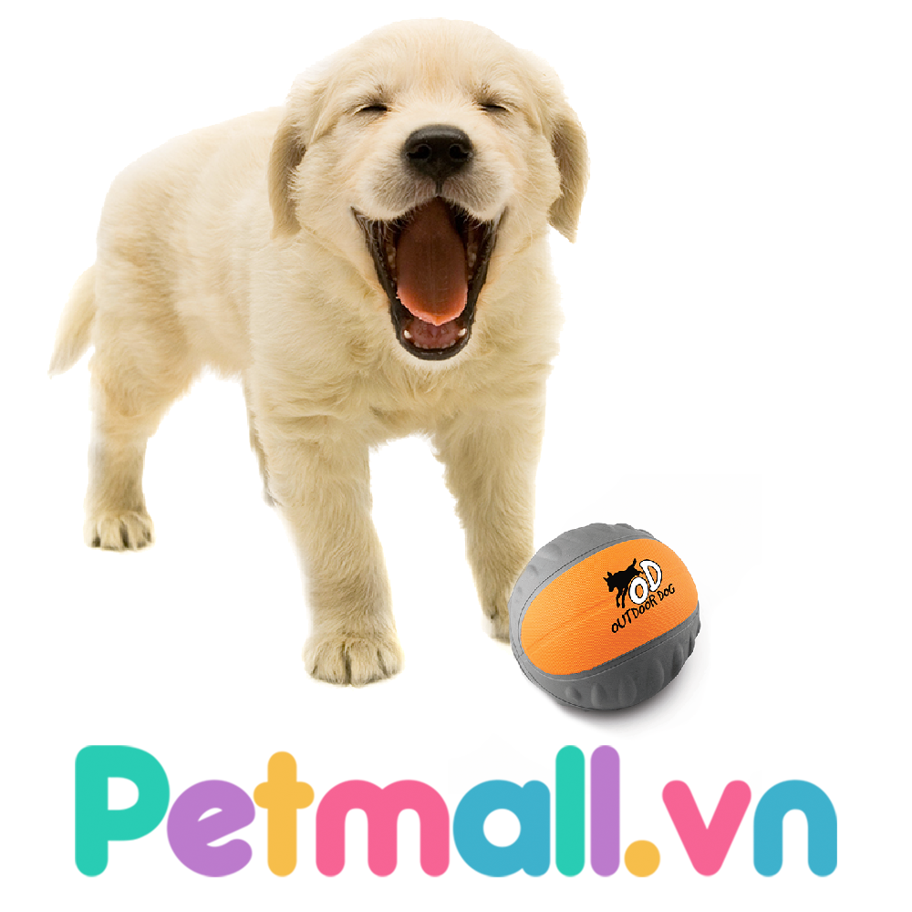Đồ chơi trái banh Pocket Ball
