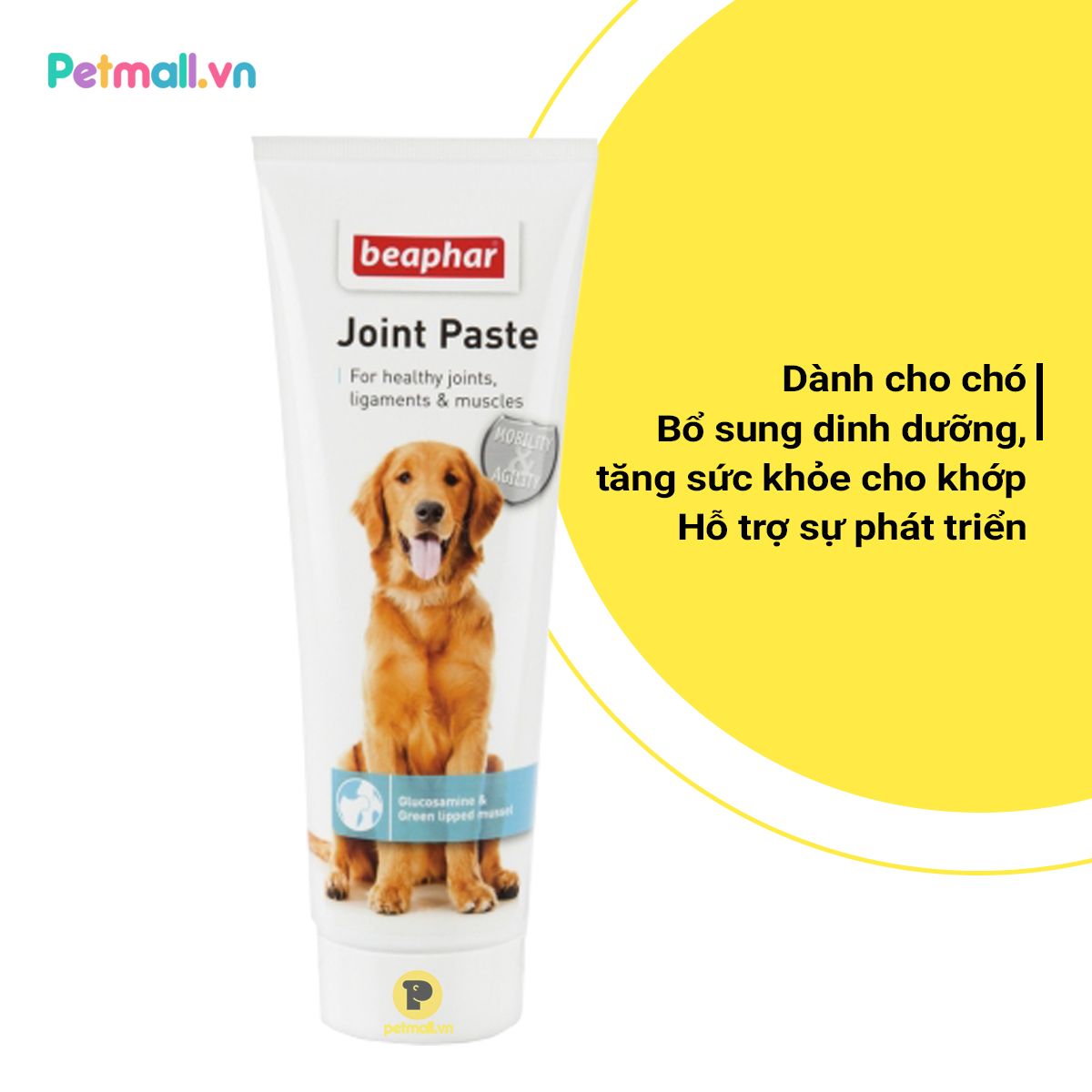 Gel bổ khớp Joint Paste