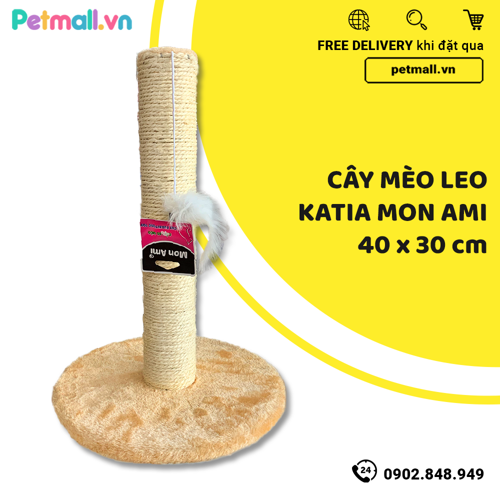 Cây mèo leo Katia Mon Ami - 40cm x 30cm