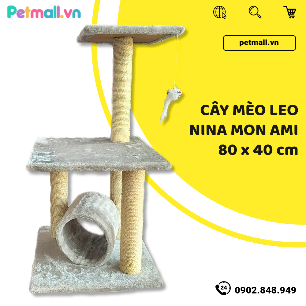 Cây mèo leo Nina Mon Ami - 80cm x 40cm