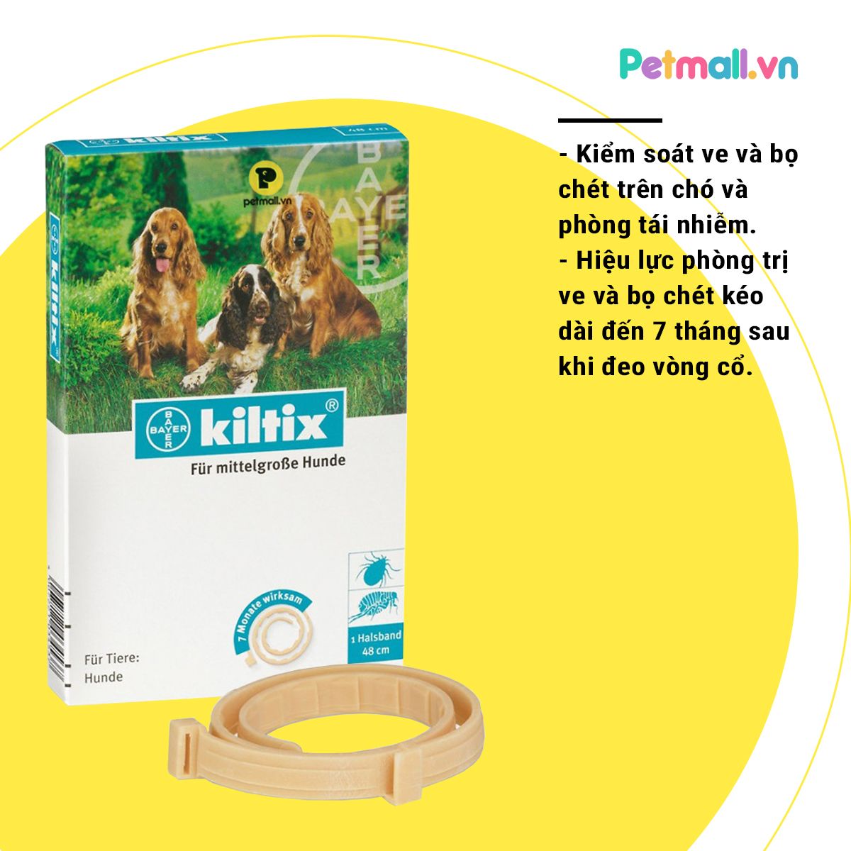 KILTIX Collar for dog medium size - 48cm