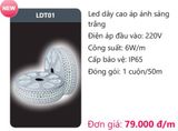  ĐÈN LED DÂY DUHAL ÁNH SÁNG TRẮNG LDT01 