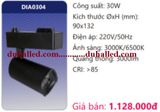  ĐÈN RỌI RAY DUHAL 30W DIA0304 / DIA 0304 