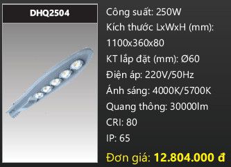  đèn đường led duhal 250w DHQ2504 