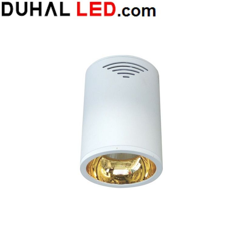 ĐÈN LED CHIẾU SÂU GẮN NỔI TRANG TRÍ 10W DUHAL DIB0104