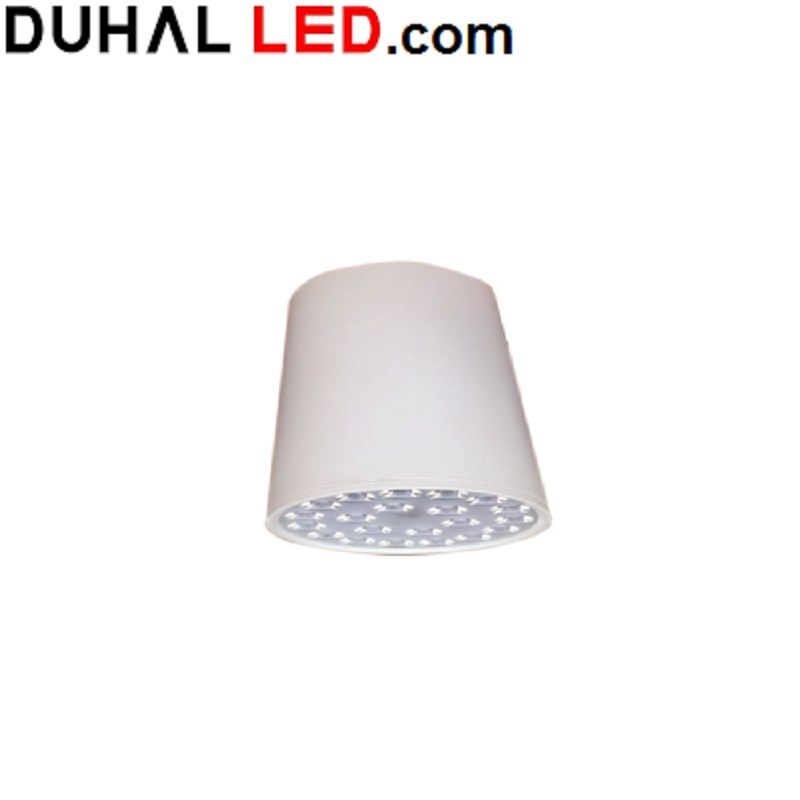 ĐÈN LED CHIẾU SÂU GẮN NỔI TRANG TRÍ 12W DUHAL DIB1093