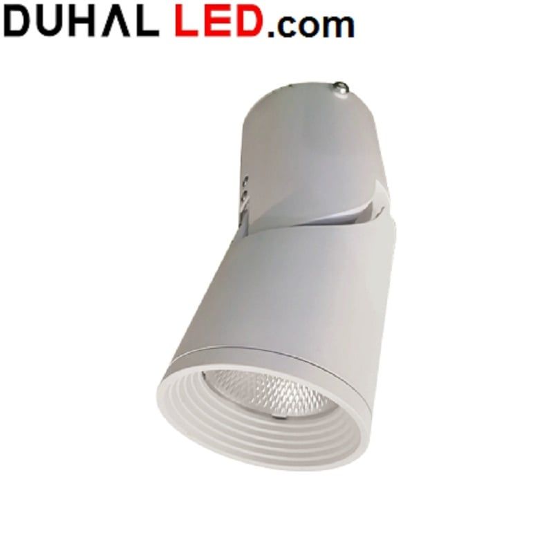 ĐÈN LED GẮN NỔI CHIẾU ĐIỂM TRANG TRÍ 10W DUHAL DIB0105