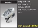  đèn rọi nước, đèn âm dưới nước duhal 12w DMA612 