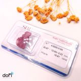  MẶT HỒ LY RUBY KIỂM ĐỊNH SBJ 