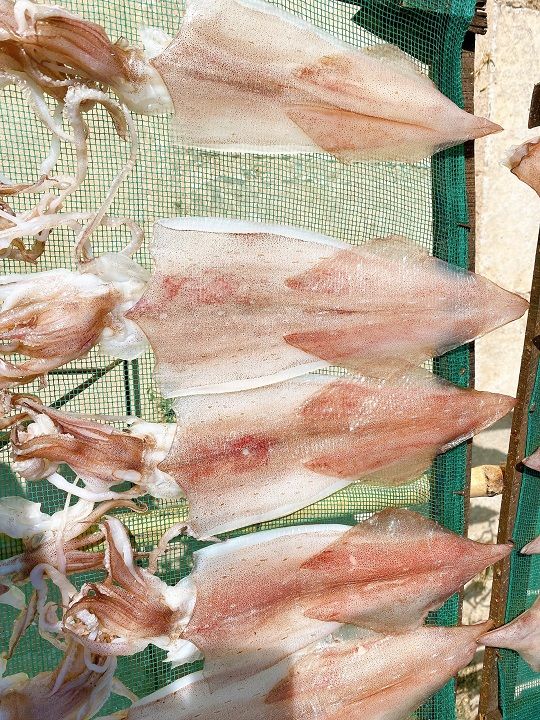 Mực dẻo 2 nắng