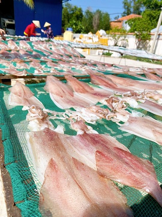 Mực dẻo 2 nắng