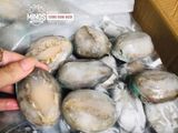  Bào ngư Hàn Quốc size Nhỏ - 500g/túi (9-11 con) 