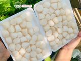  Cồi sò điệp Nhật size baby - Khay 500g 