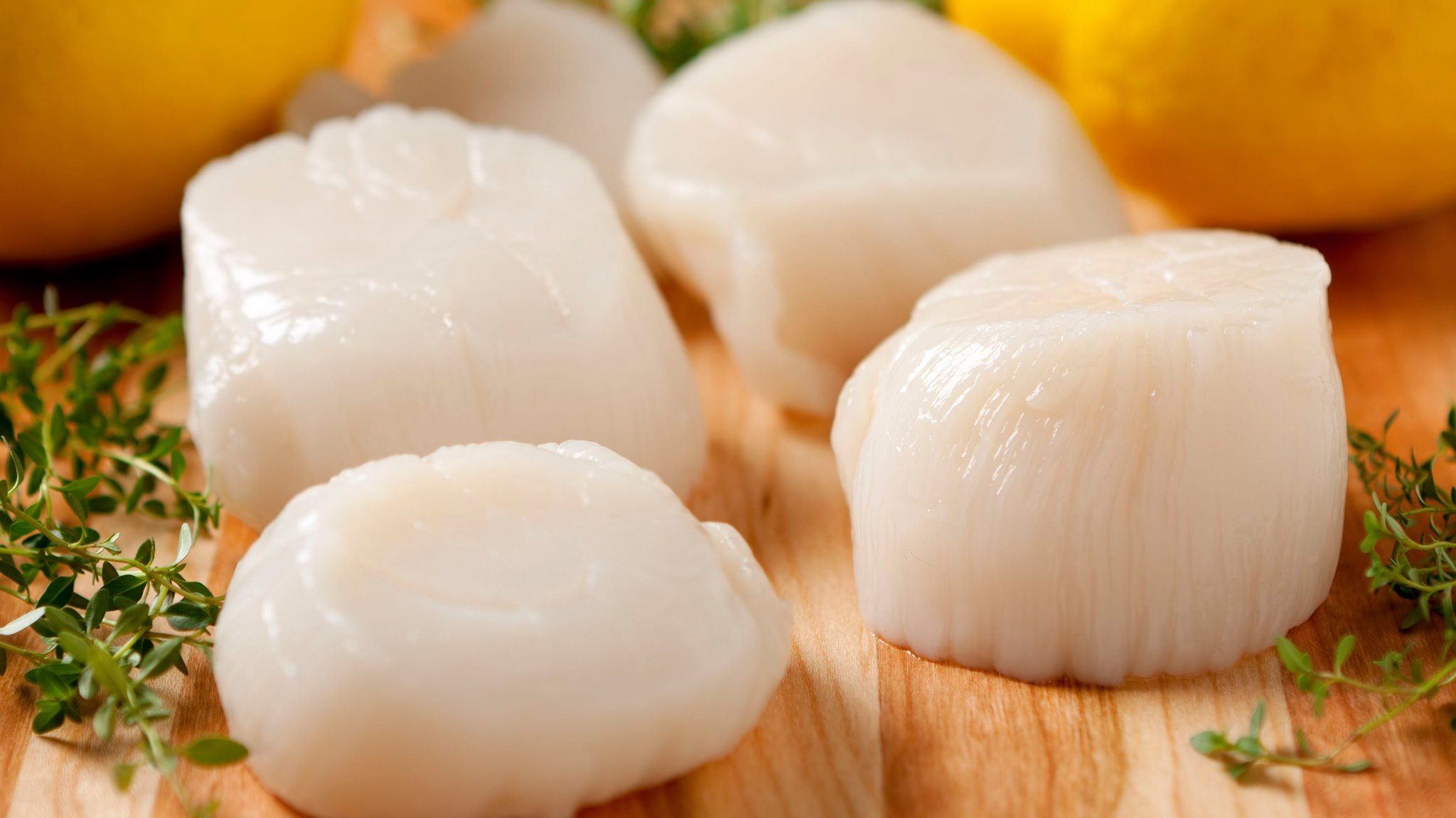 Cồi sò điệp Nhật