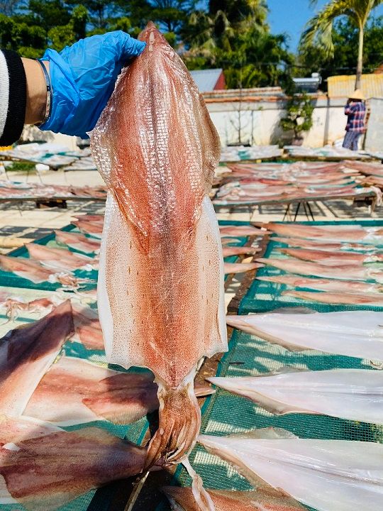Mực dẻo 2 nắng