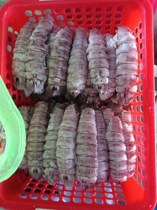 Thịt tôm tít - 500g/túi