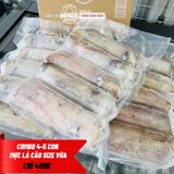  Mực lá câu  Phú Quốc size vừa (300-600g/con) - Giá bán theo 10g 