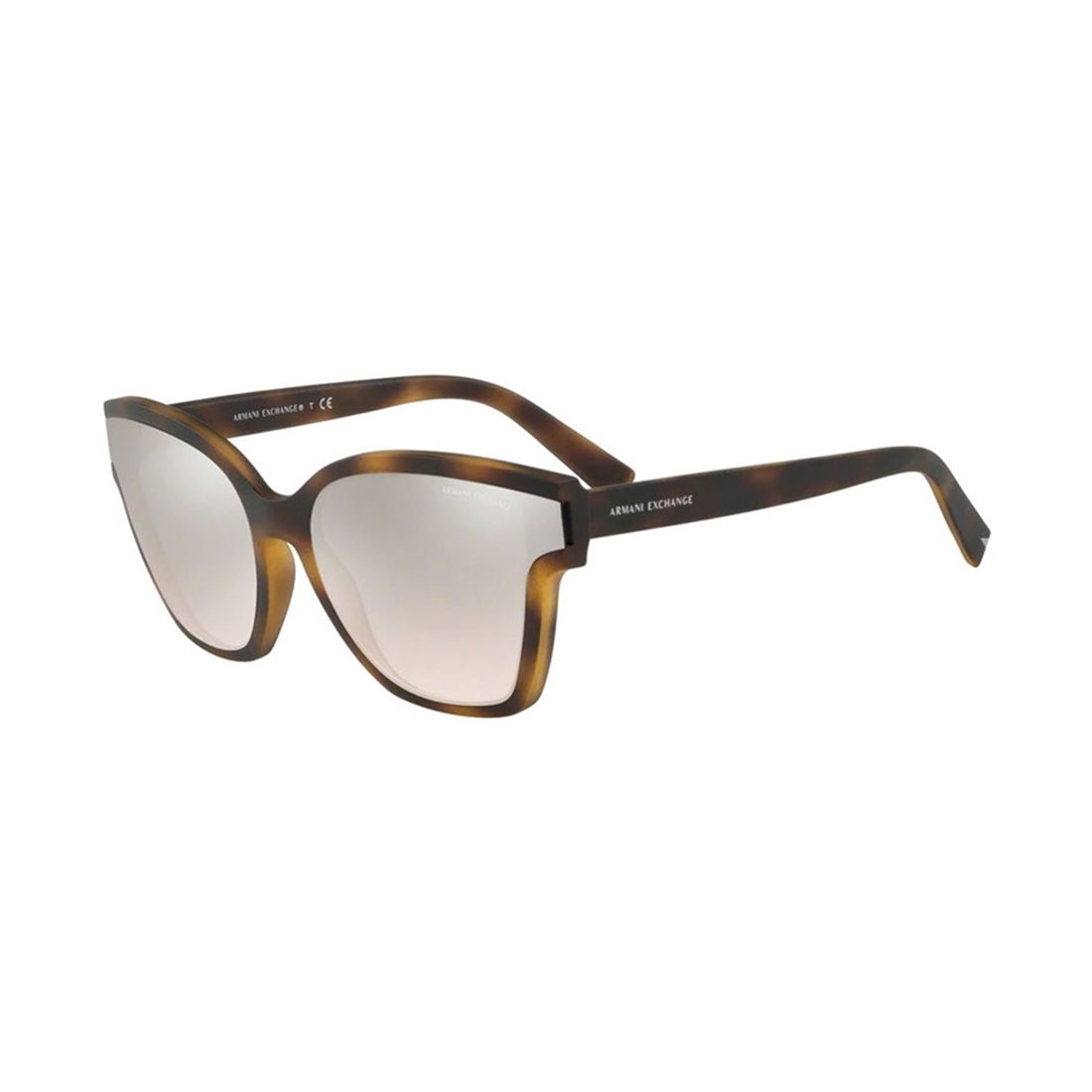 Kính mát Armani Exchange AX4073SF 8029/8Z