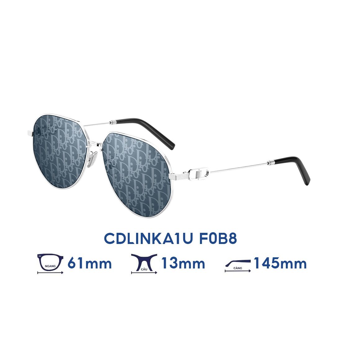 Kính mát DIOR CDLINKA1U F0B8