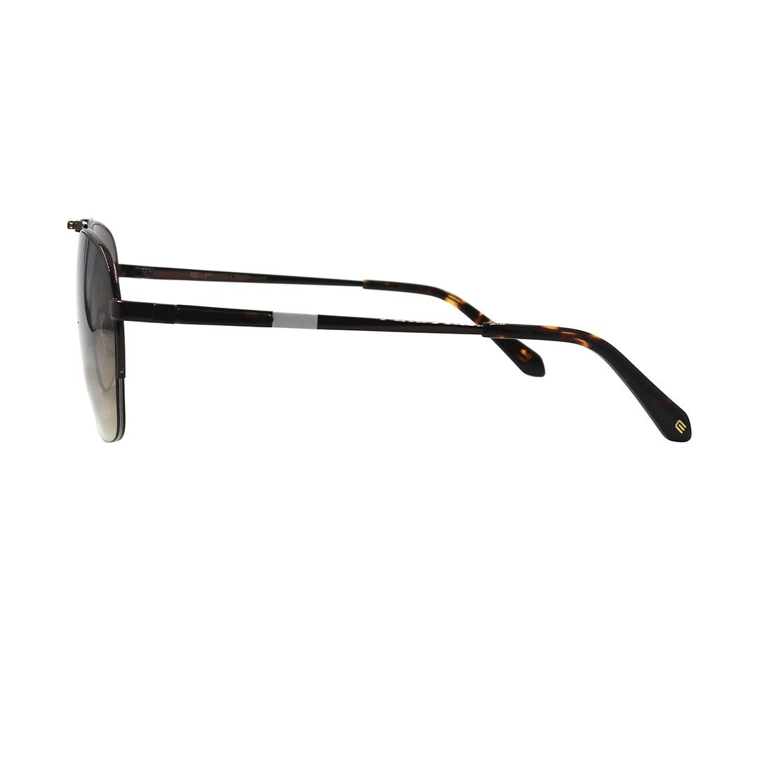 Kính mát EXFASH EF79973 C05