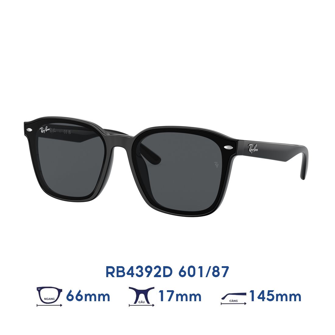 Kính mát RAYBAN RB4392D 601/87