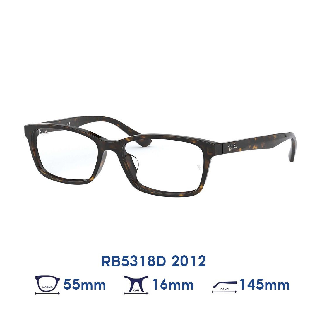  Gọng kính RAYBAN RB5318D 2012 