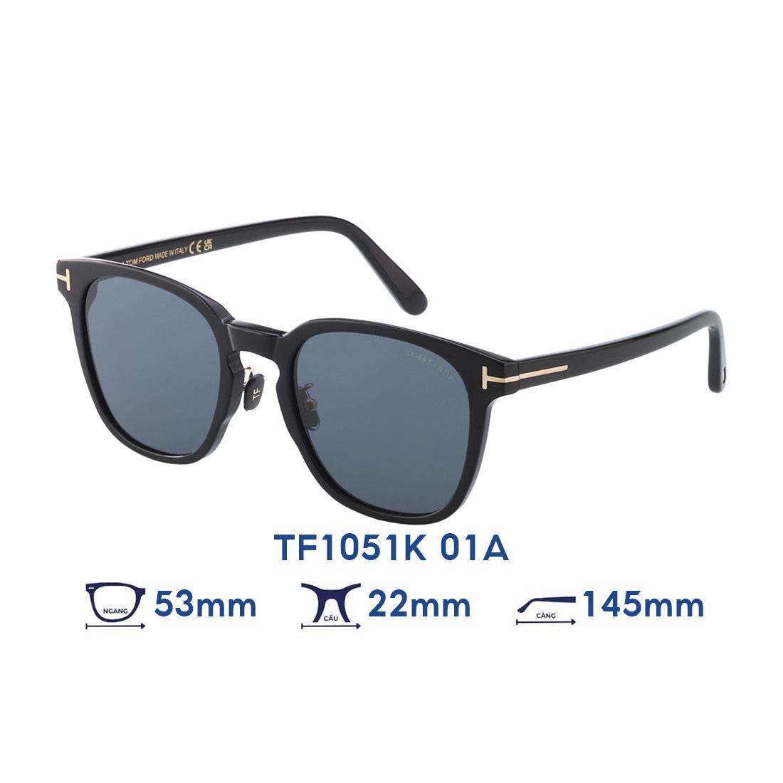 Kính mát Tom Ford TF1051K 01A