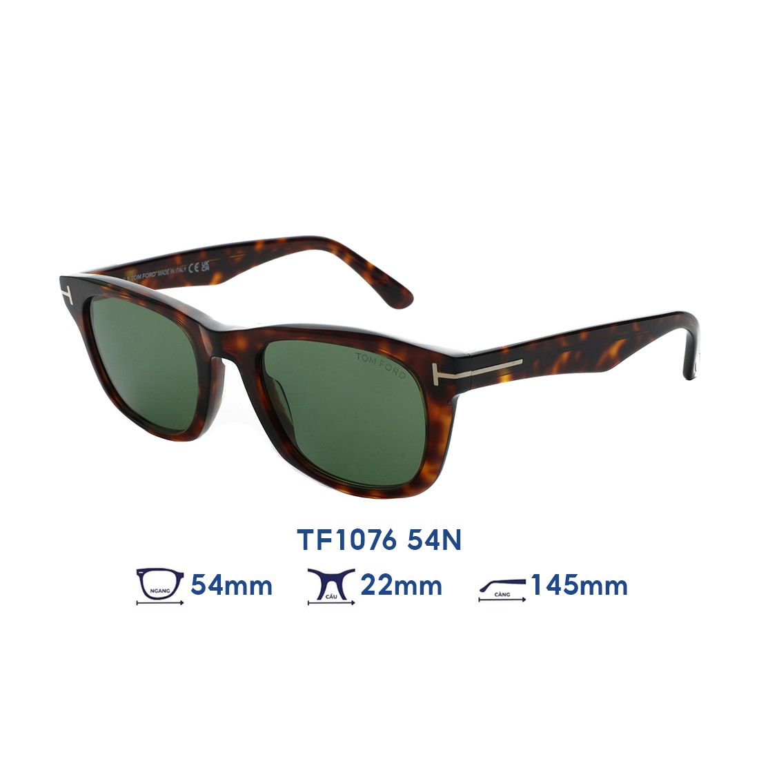 Kính mát Tom Ford TF1076 54N