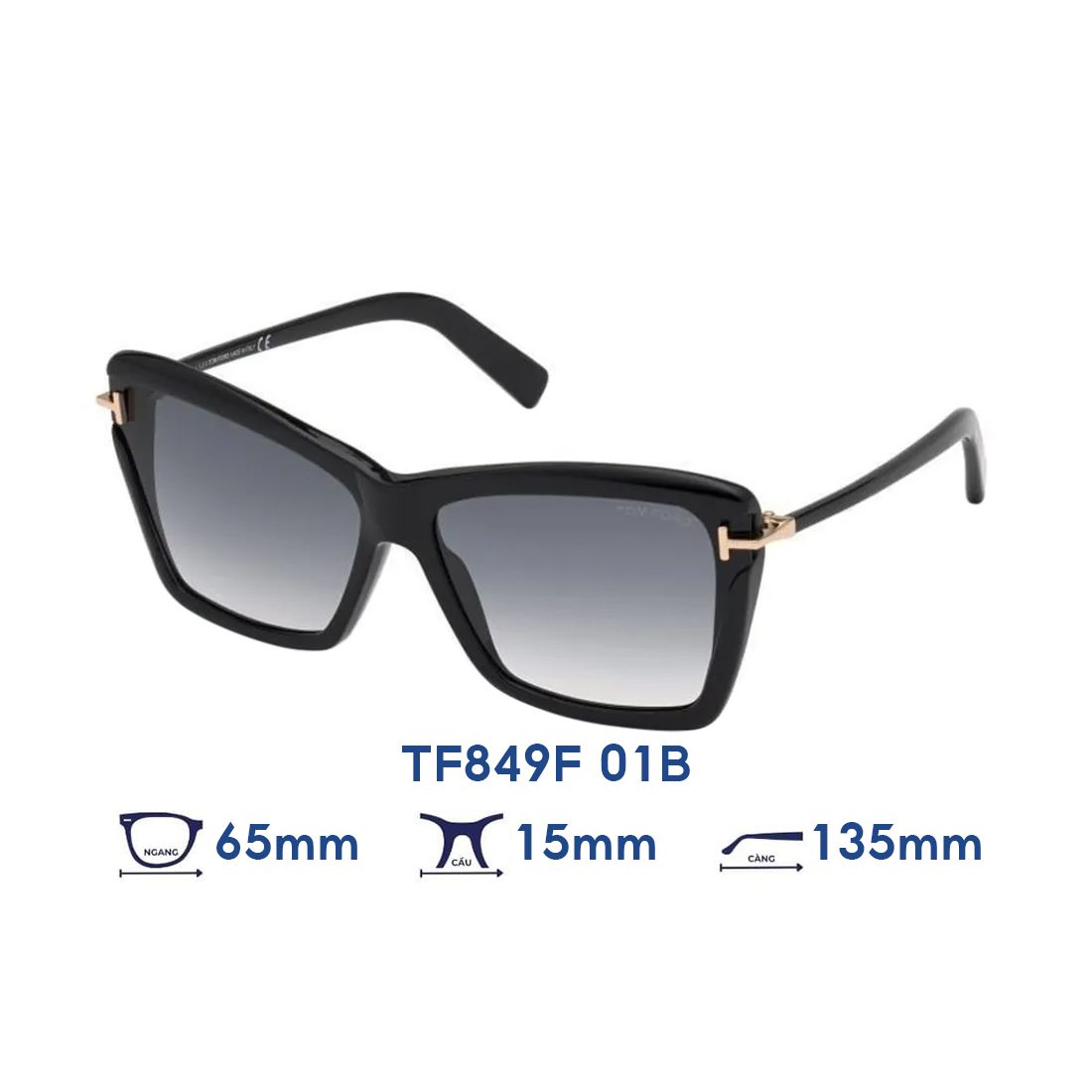 Kính mát Tom Ford TF849F 01B