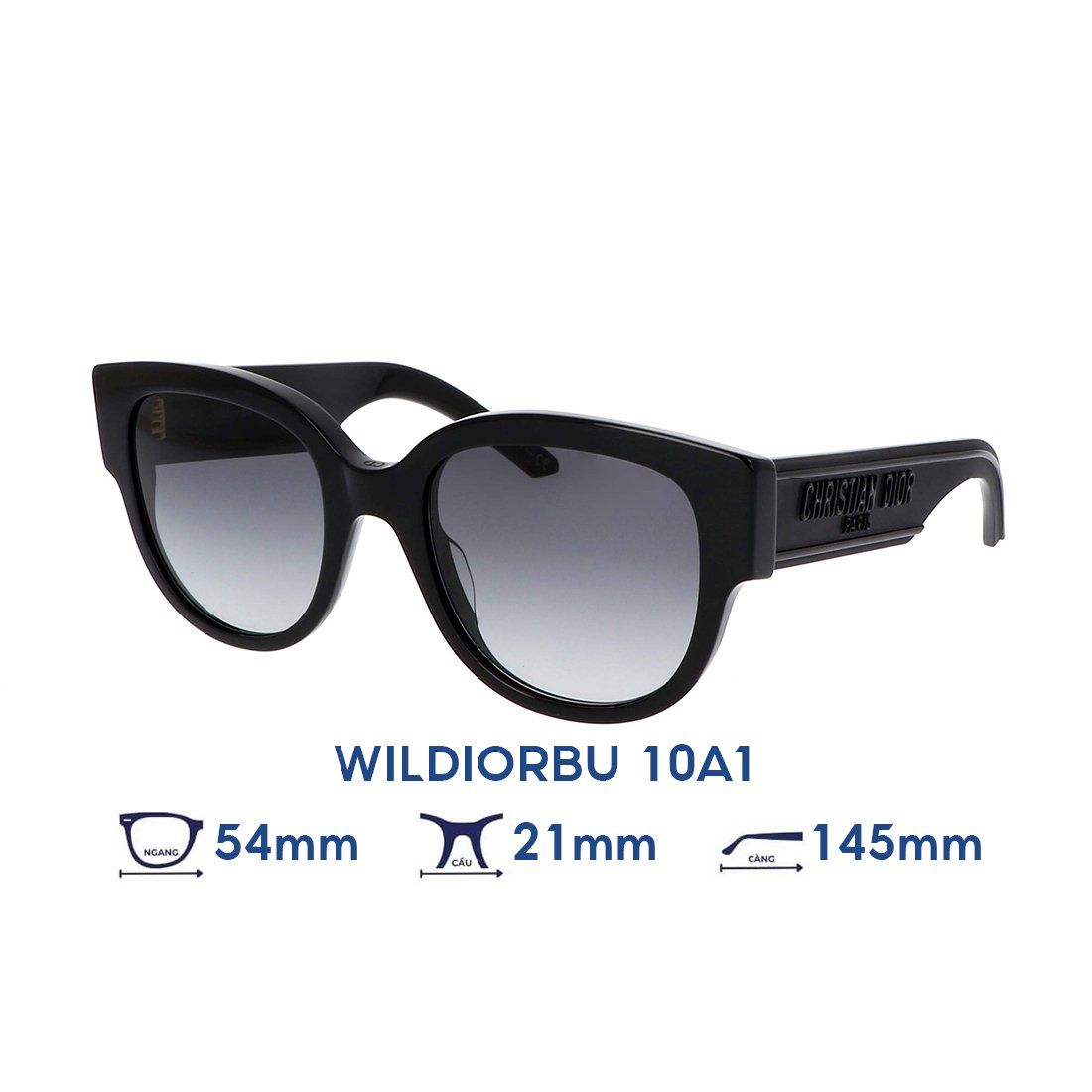 Kính mát DIOR WILDIORBU 10A1