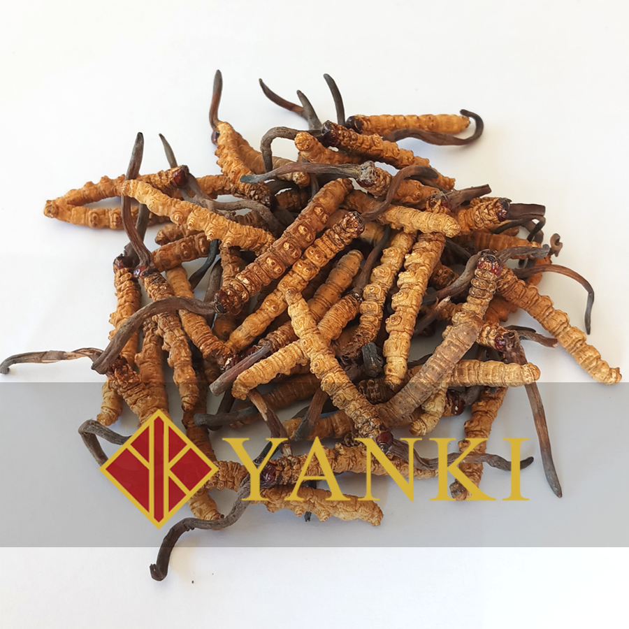 Mix 10g B&C ~ Special price