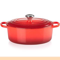 noi gang ovan lecreuset brater oval evo 25cm kirsche mau do