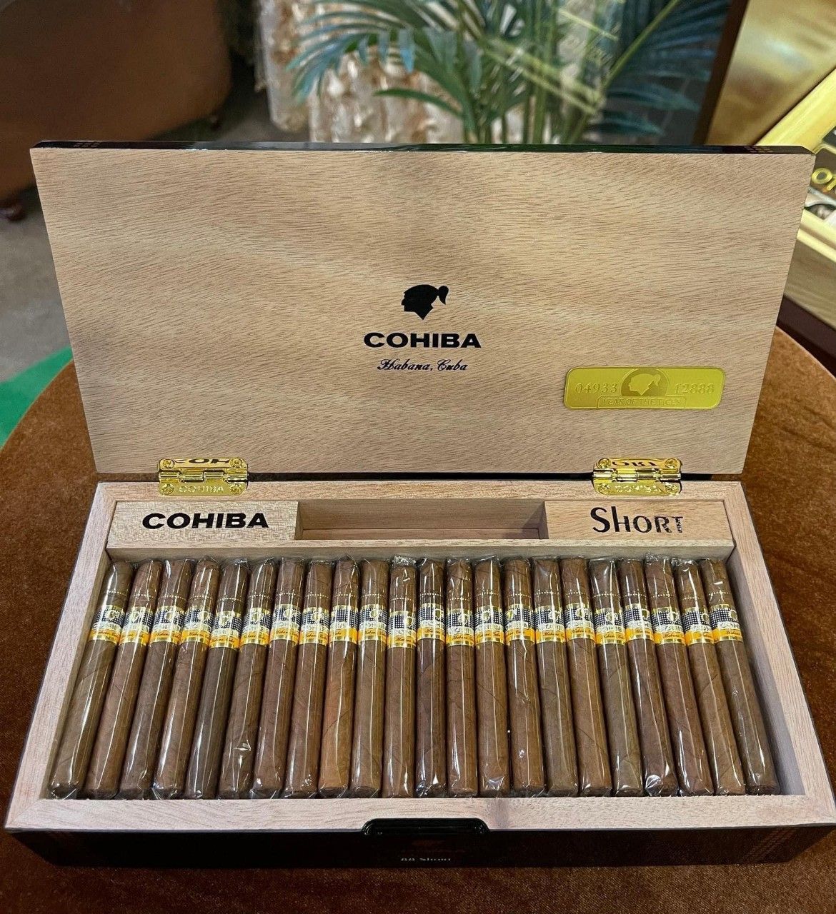 xi ga cohiba short 88