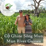 Cỏ Ghine Sông Mun