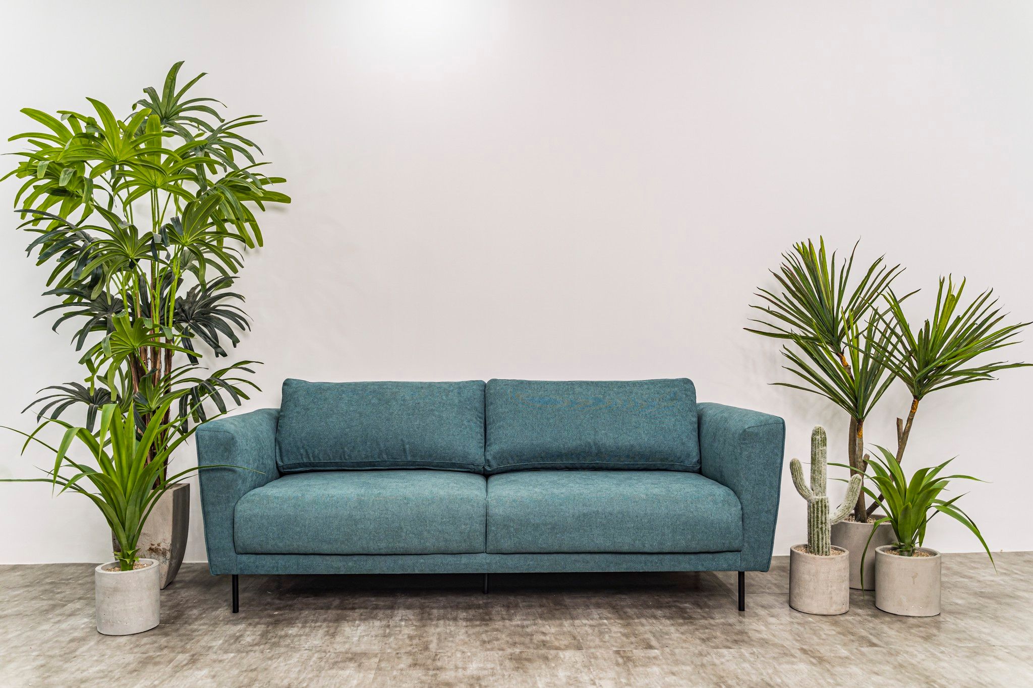 Sofa La La Land, 3 Chỗ Ngồi