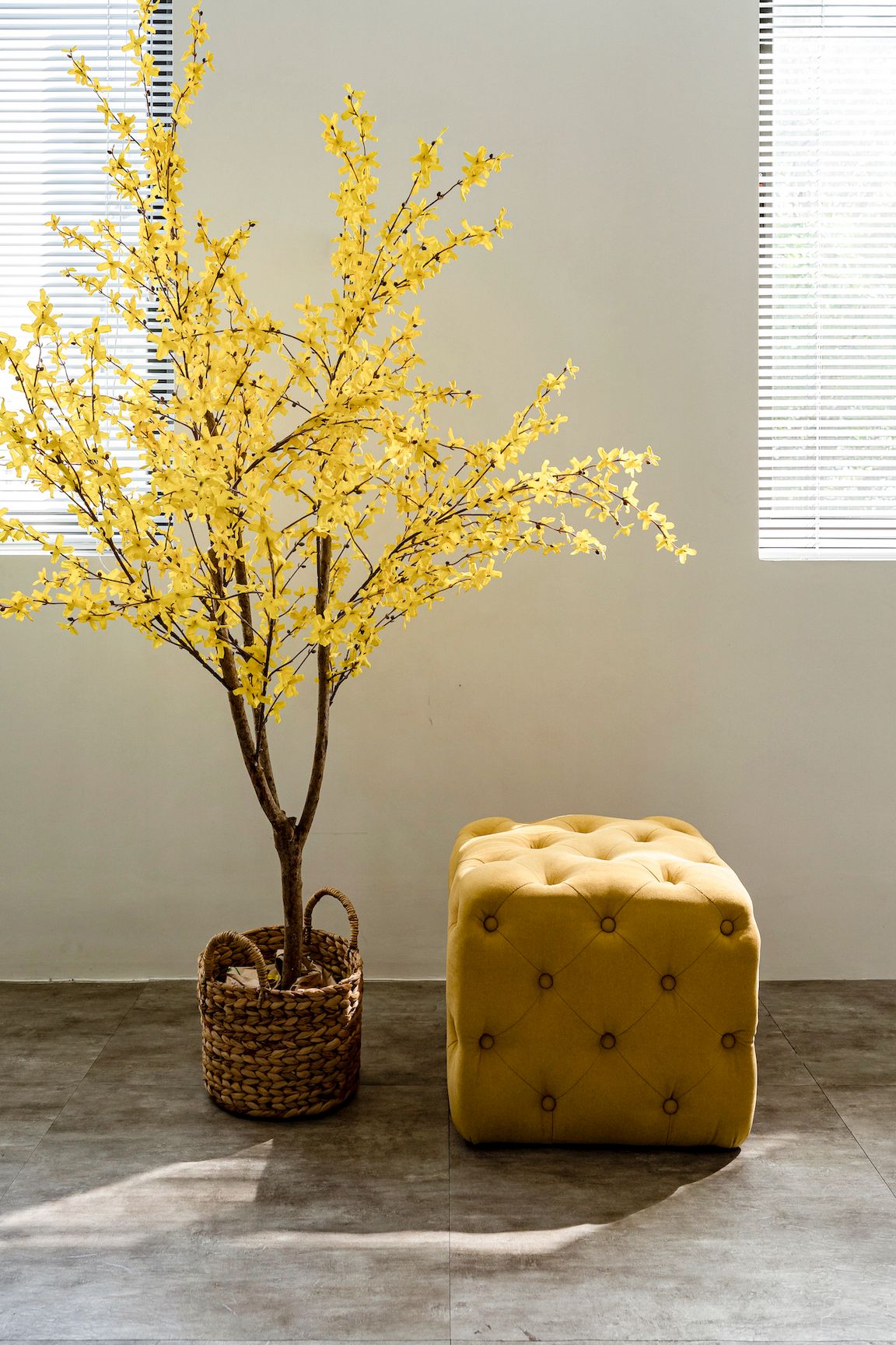 Ghế Đôn Bánh trứng