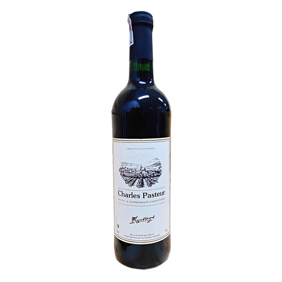 Charles Pasteur Bordeaux